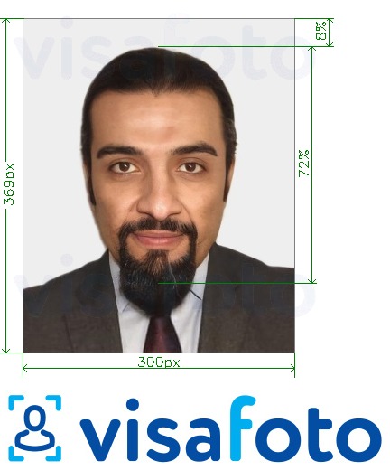  AÜE Visa online Emirates.com 300x369 pikslit fotonäidis koos täpse infoga mõõtude kohta.