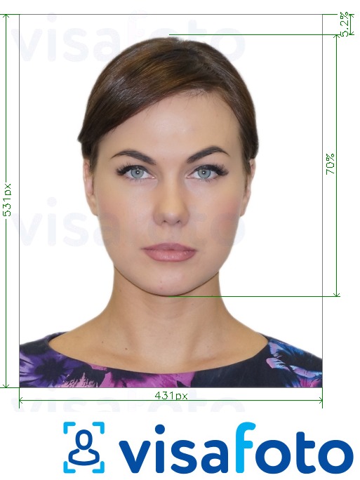 Brasiilia Passport Internetis 431x531 px fotonäidis koos täpse infoga mõõtude kohta.