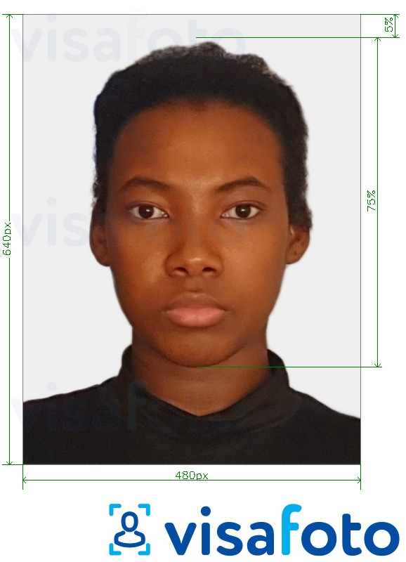  Bahama pass 480x640 pikslit fotonäidis koos täpse infoga mõõtude kohta.