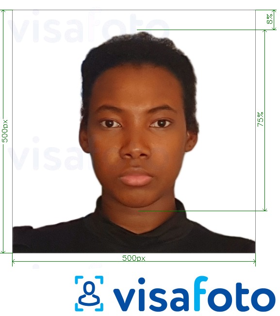  Kameruni viisa online 500x500 px fotonäidis koos täpse infoga mõõtude kohta.
