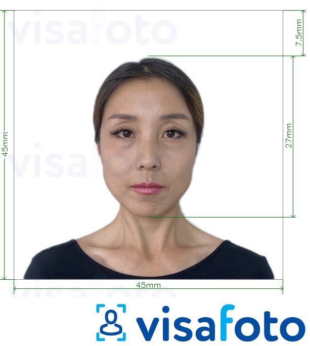  Jaapan Visa 45x45mm, pea 27 mm fotonäidis koos täpse infoga mõõtude kohta.