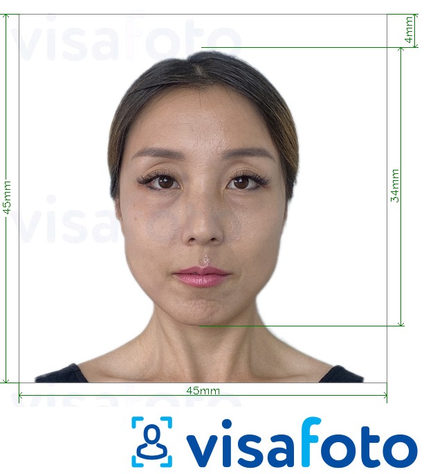  Jaapan Visa 45x45mm, pea 34 mm fotonäidis koos täpse infoga mõõtude kohta.