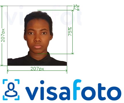 Kenya viisa 207x207 pikslit fotonäidis koos täpse infoga mõõtude kohta.