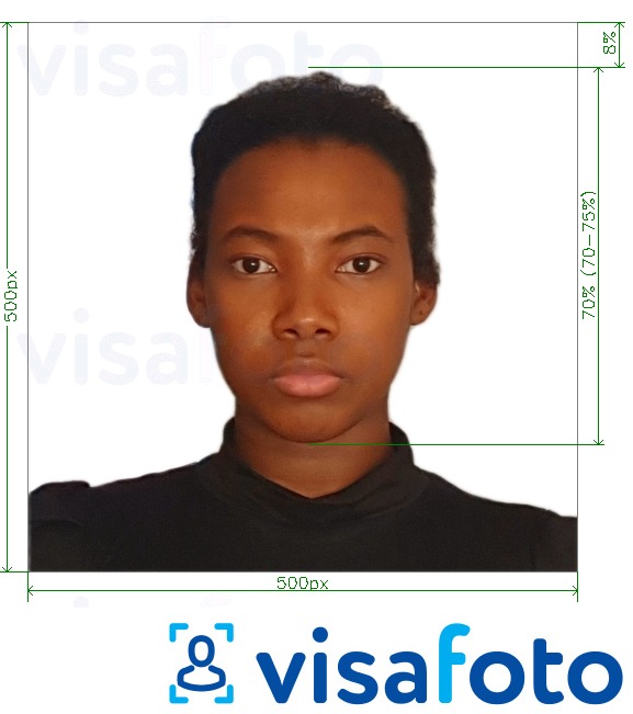  Kenya e-viisa võrgus 500x500 pikslit fotonäidis koos täpse infoga mõõtude kohta.