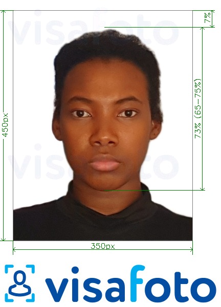  Nigeeria veebiviisa 200–450 pikslit fotonäidis koos täpse infoga mõõtude kohta.