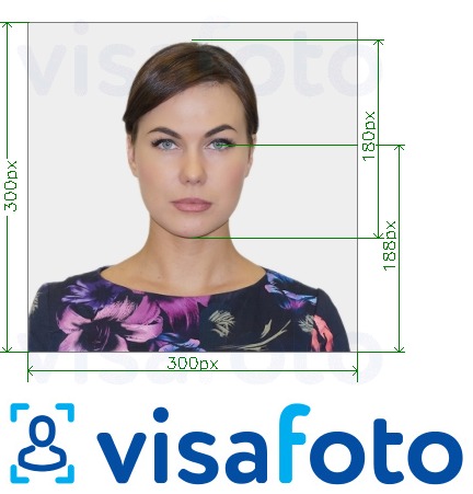 Kaguosa ID-kaart võrgus 300x300 pikslit fotonäidis koos täpse infoga mõõtude kohta.
